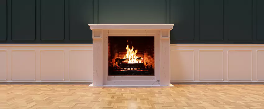 Napoleon Electric Fireplaces Inspection Service in Orlando, Florida