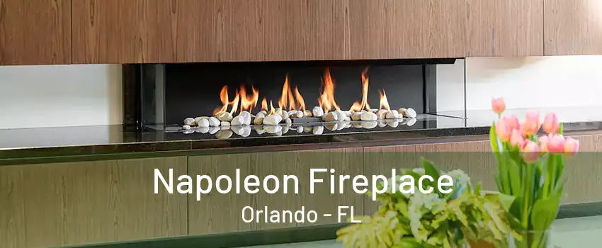 Napoleon Fireplace Orlando - FL